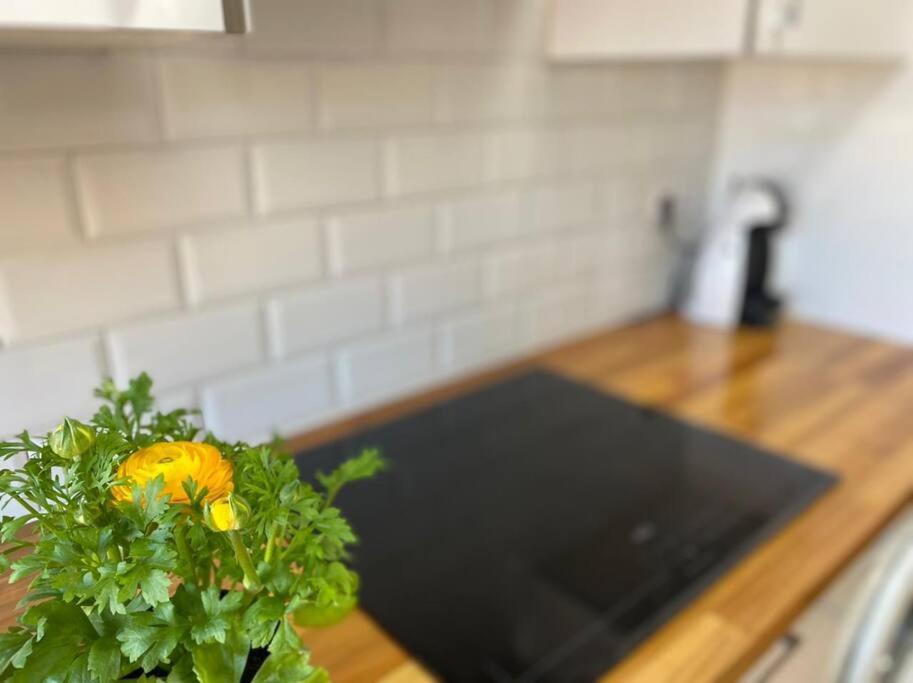 Apartamento Centrico-Parking Gratuito-Wifi Santander Bagian luar foto